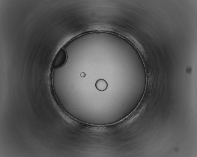 X0000100840893200807180917