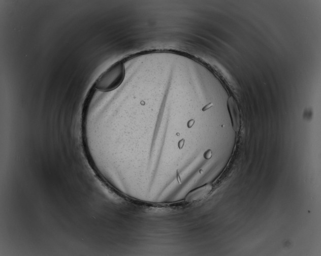 X0000100840894200807180917