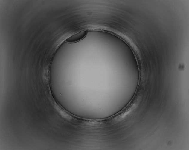 X0000100840897200807180917