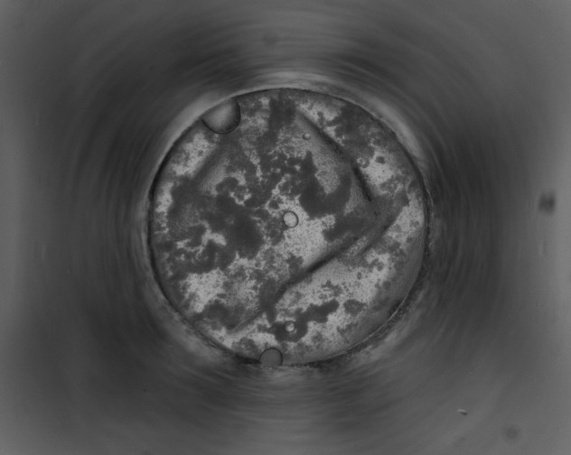 X0000100840899200807180917