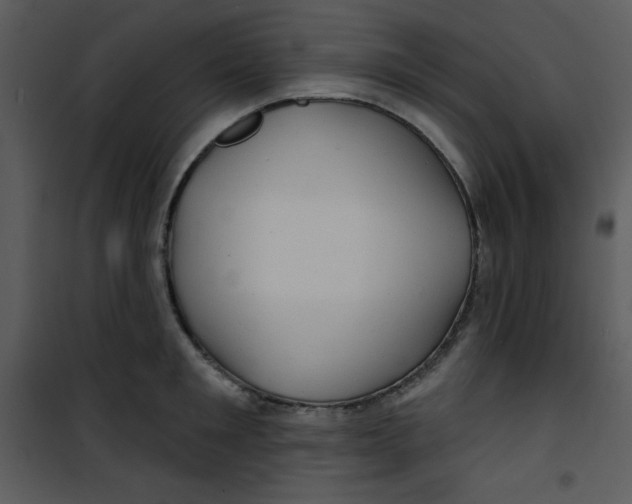 X0000100840901200807180917