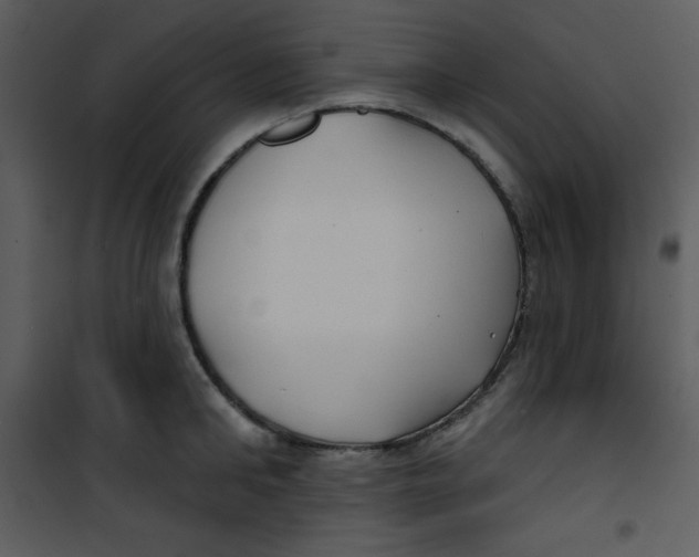 X0000100840902200807180917