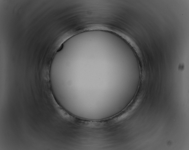 X0000100840905200807180917