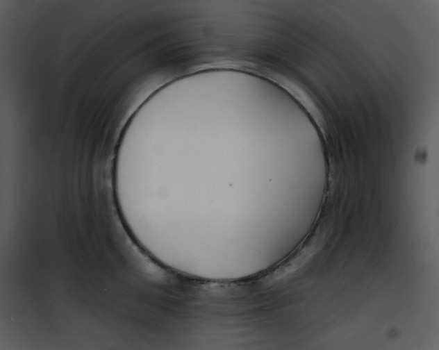 X0000100840906200807180917