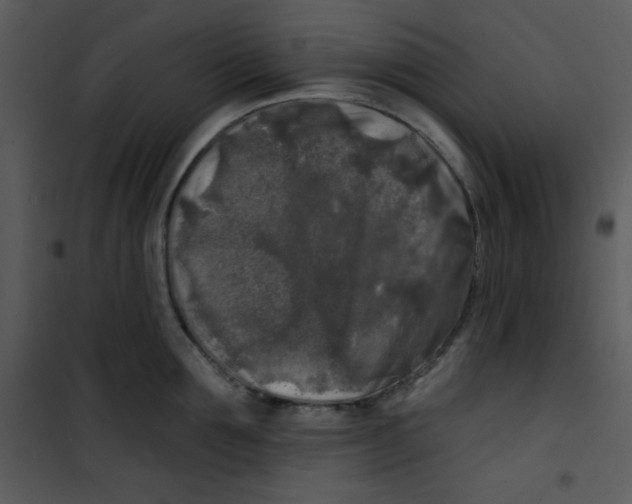 X0000100840907200807180917