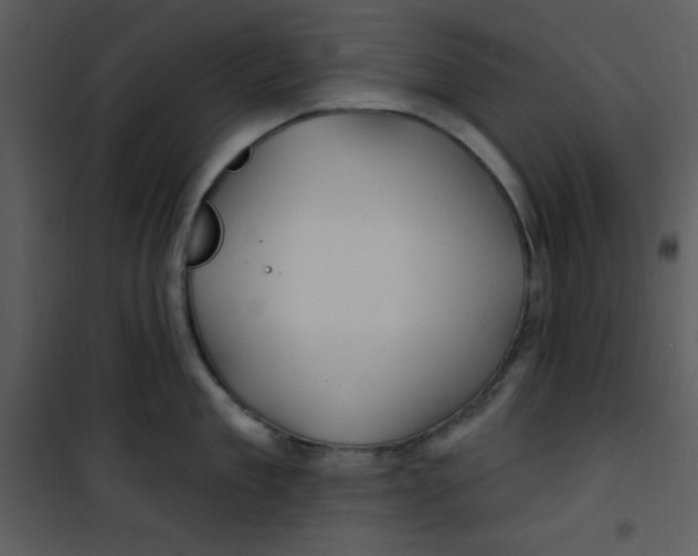 X0000100840909200807180917