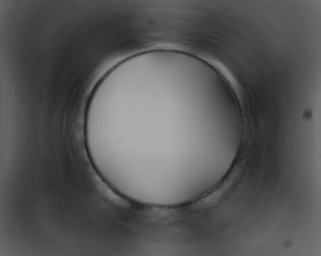 X0000100840910200807180917