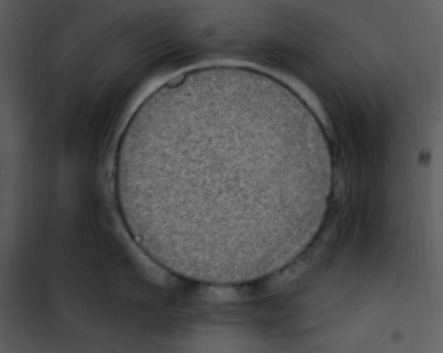 X0000100840911200807180917