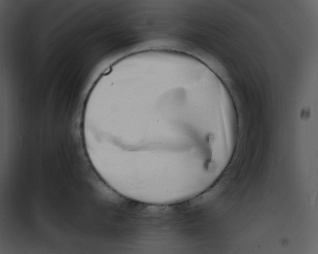 X0000100840912200807180917