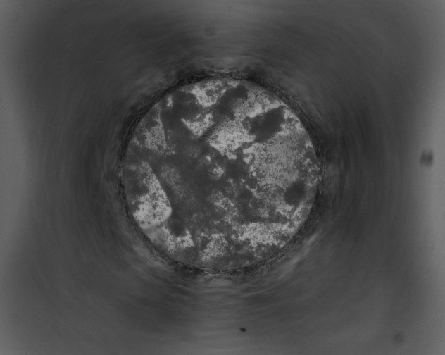 X0000100840913200807180917