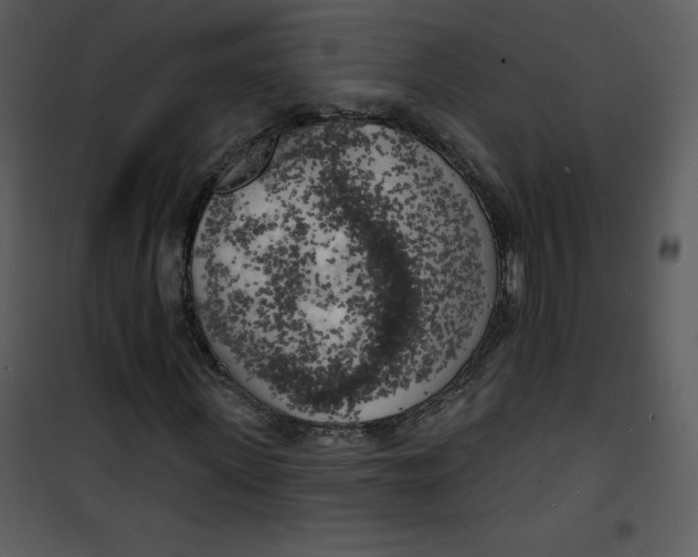 X0000100840915200807180917