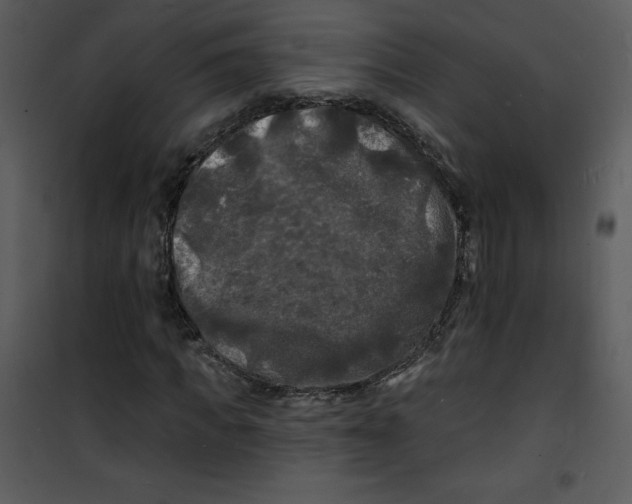 X0000100840917200807180917