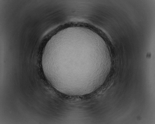 X0000100840919200807180917