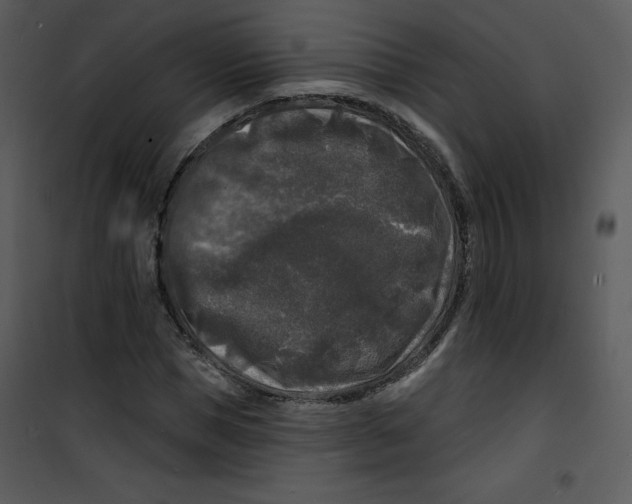 X0000100840921200807180917