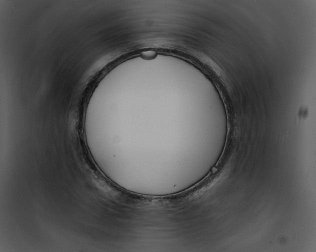 X0000100840922200807180917