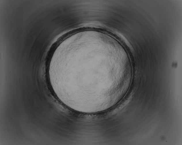 X0000100840923200807180917