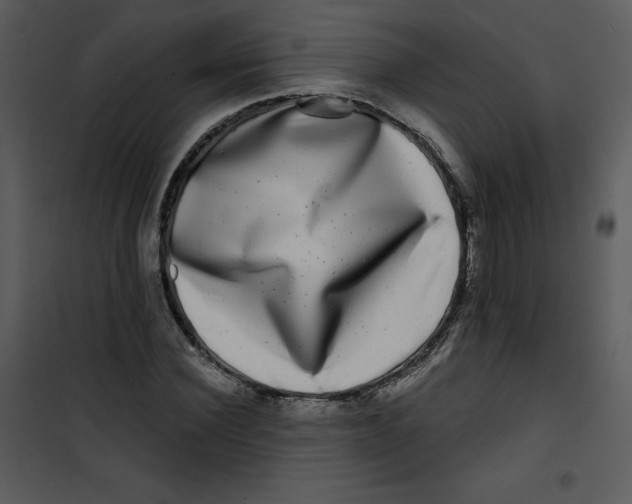 X0000100840924200807180917