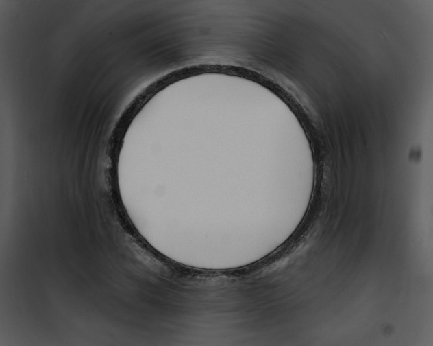 X0000100840926200807180917