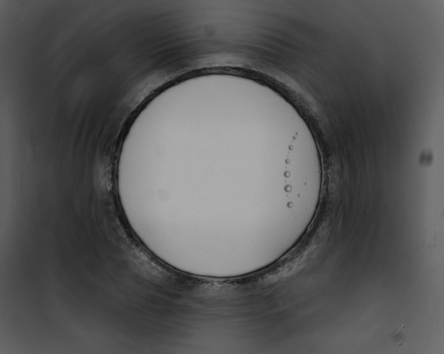 X0000100840929200807180917