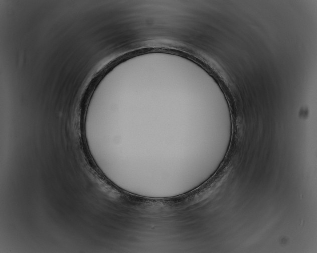 X0000100840931200807180917