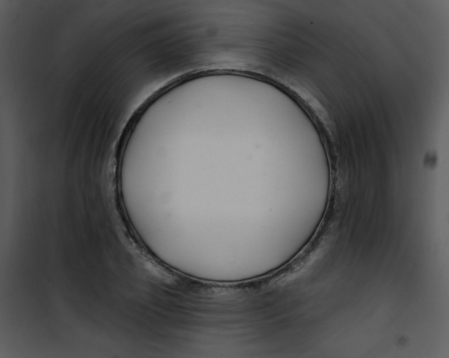 X0000100840933200807180917