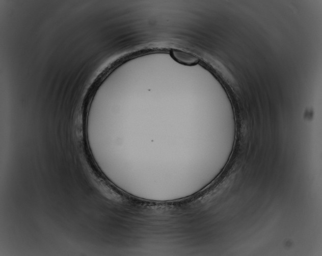 X0000100840934200807180917