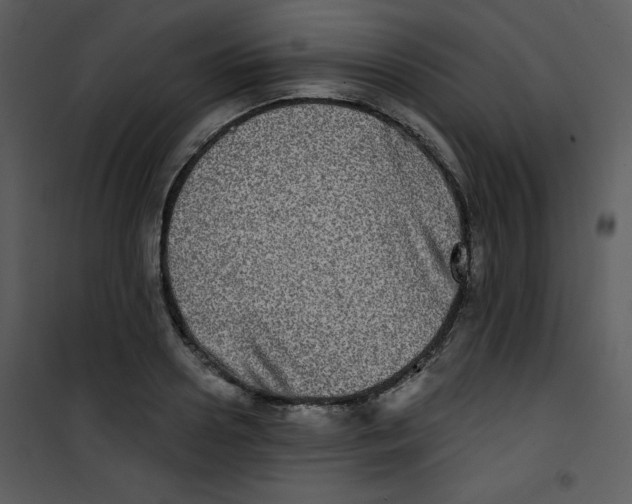 X0000100840938200807180917