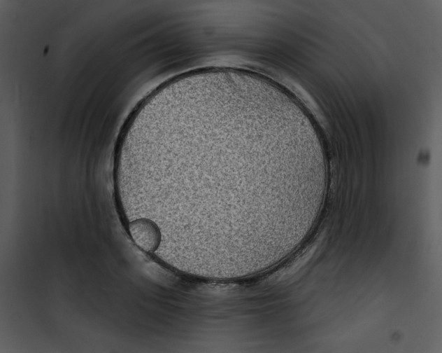 X0000100840939200807180917