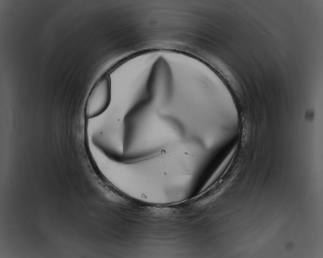 X0000100840940200807180917