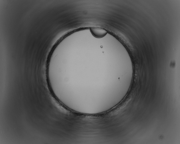 X0000100840942200807180917