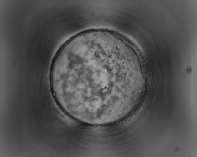 X0000100840943200807180917