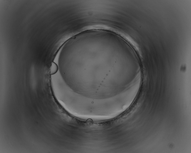 X0000100840945200807180917