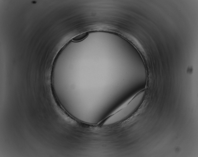 X0000100840946200807180917