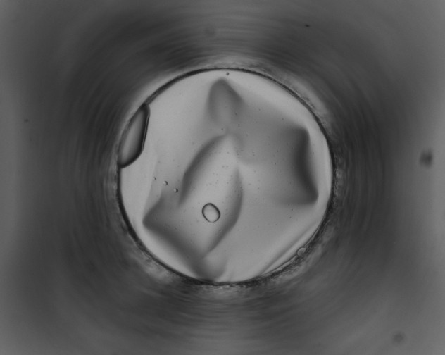 X0000100840948200807180917