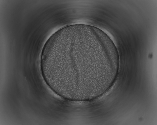 X0000100840949200807180917