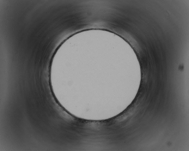 X0000100840950200807180917