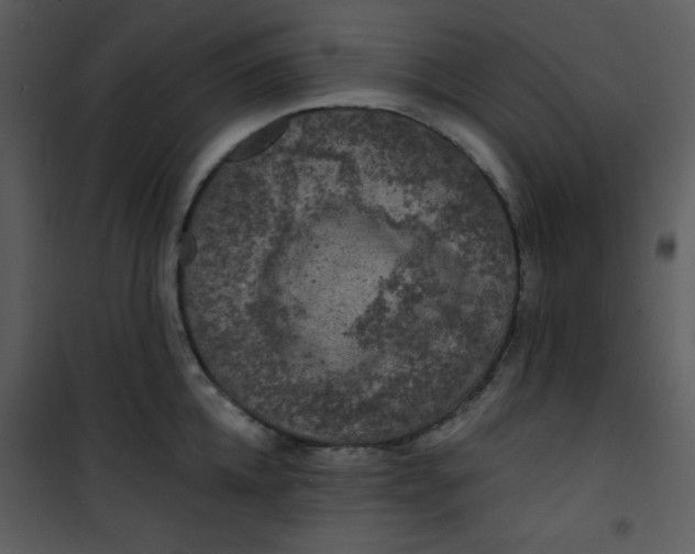 X0000100840952200807180917