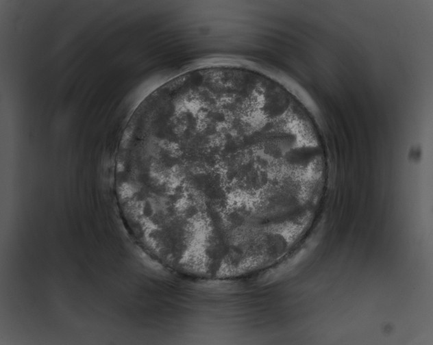 X0000100840953200807180917