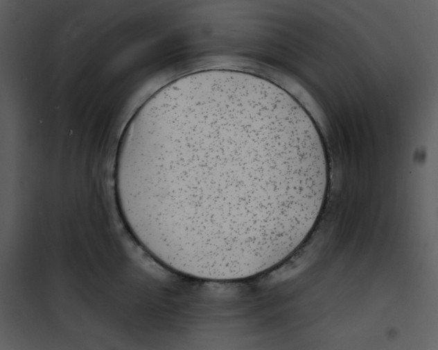 X0000100840954200807180917