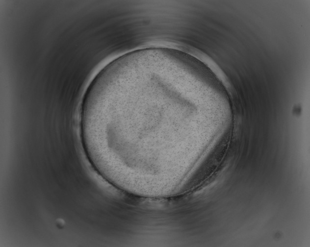 X0000100840955200807180917