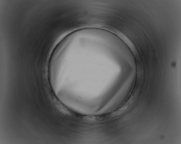 X0000100840956200807180917