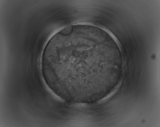 X0000100840957200807180917