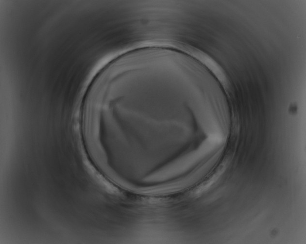 X0000100840958200807180917