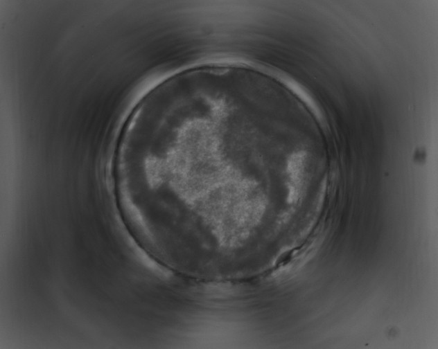 X0000100840959200807180917