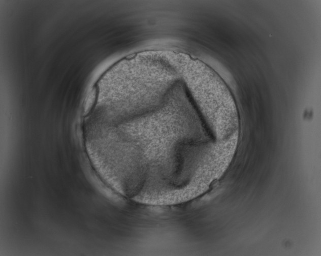 X0000100840960200807180917