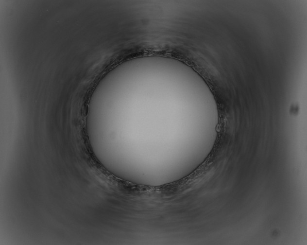 X0000100840961200807180917