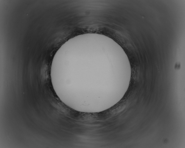 X0000100840962200807180917