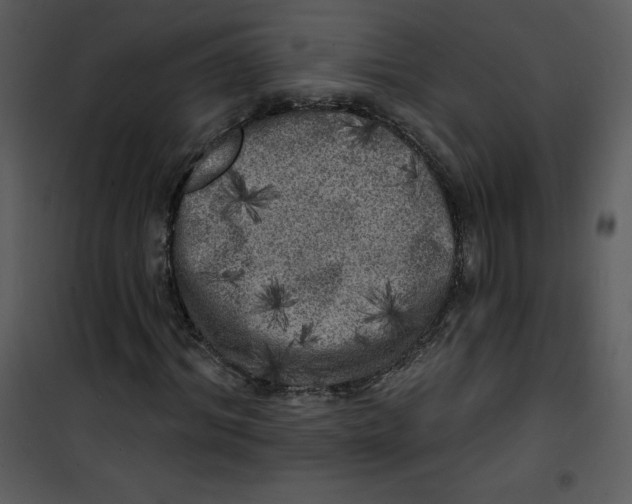 X0000100840964200807180916