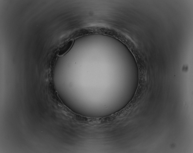 X0000100840965200807180916