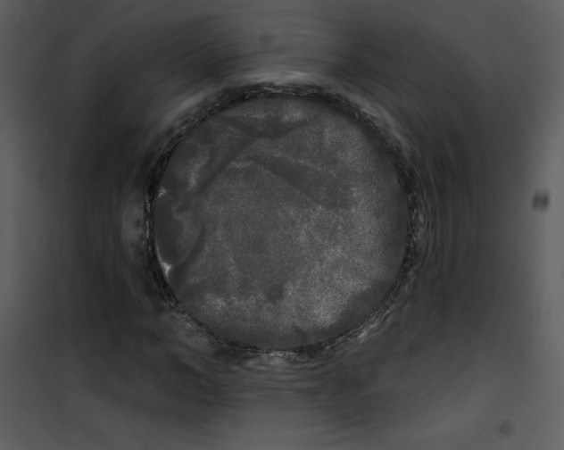 X0000100840966200807180916